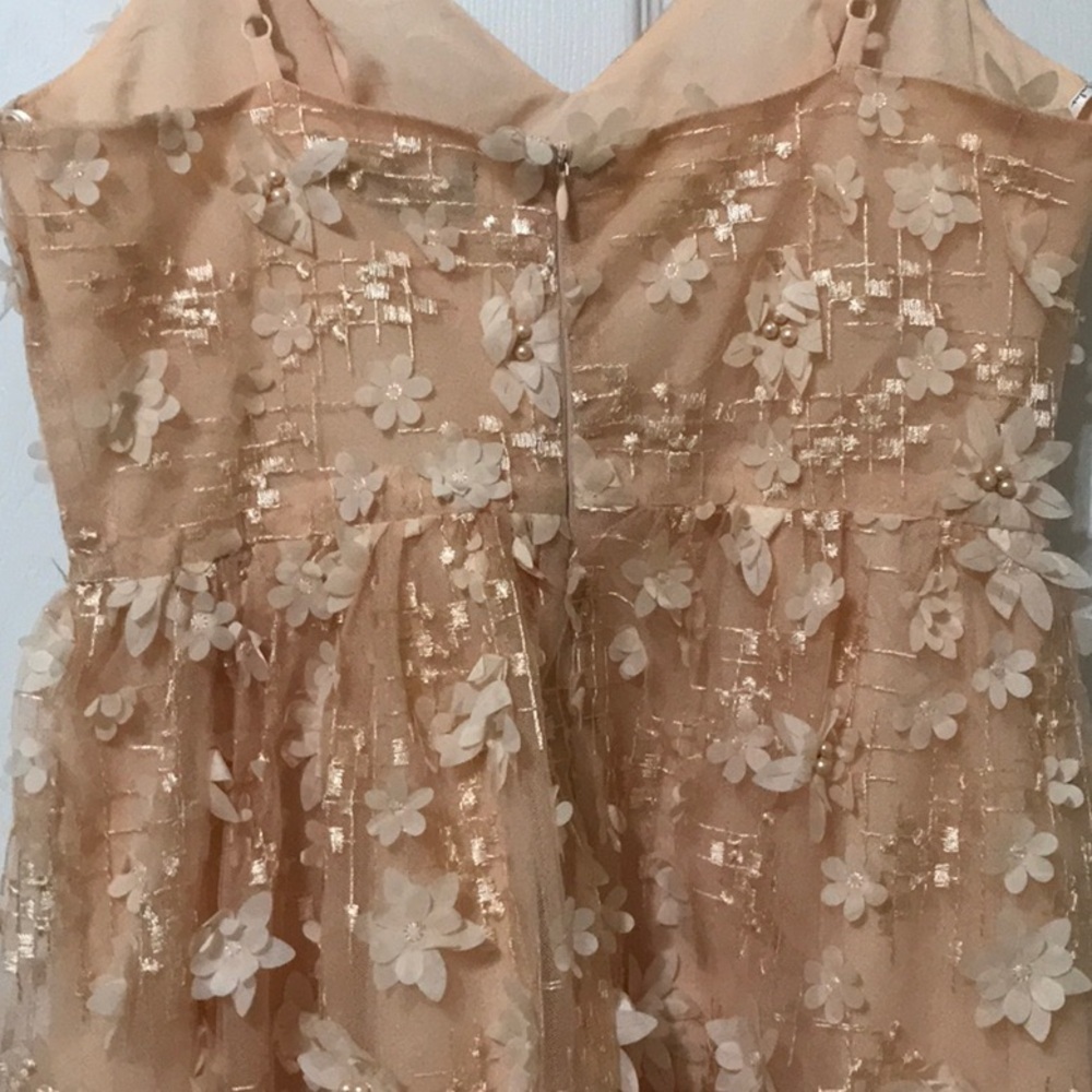 Lulus Feeling Flirty Floral Mini Skater Dress in Blush Pink - Picture 12 of 13